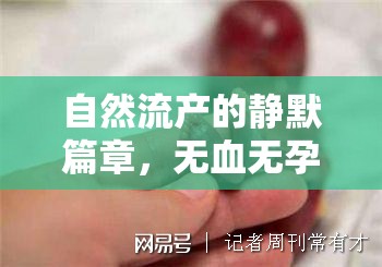 自然流產的靜默篇章，無血無孕囊流出的奧秘探索