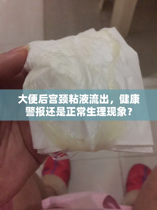 大便后宮頸粘液流出，健康警報還是正常生理現(xiàn)象？