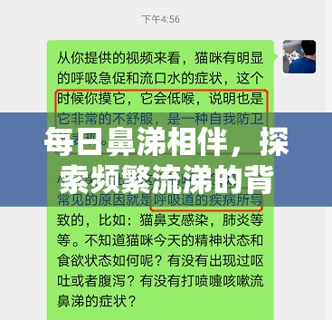 每日鼻涕相伴，探索頻繁流涕的背后故事