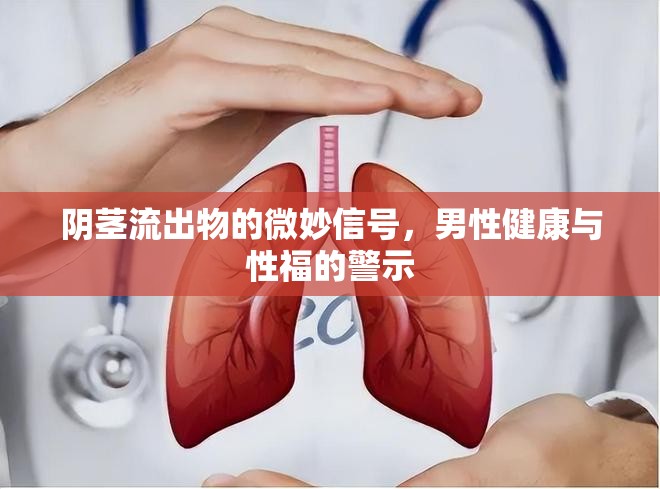 陰莖流出物的微妙信號(hào)，男性健康與性福的警示