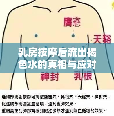 乳房按摩后流出褐色水的真相與應(yīng)對(duì)策略