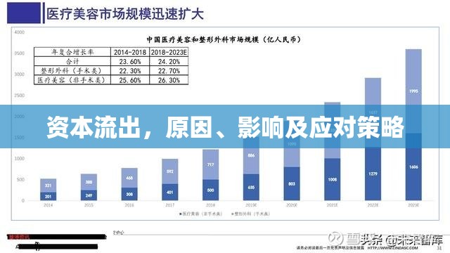 資本流出，原因、影響及應對策略