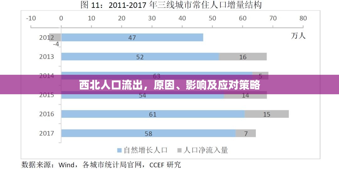 西北人口流出，原因、影響及應(yīng)對(duì)策略