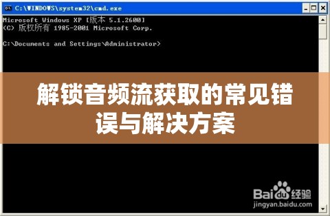 解鎖音頻流獲取的常見錯誤與解決方案