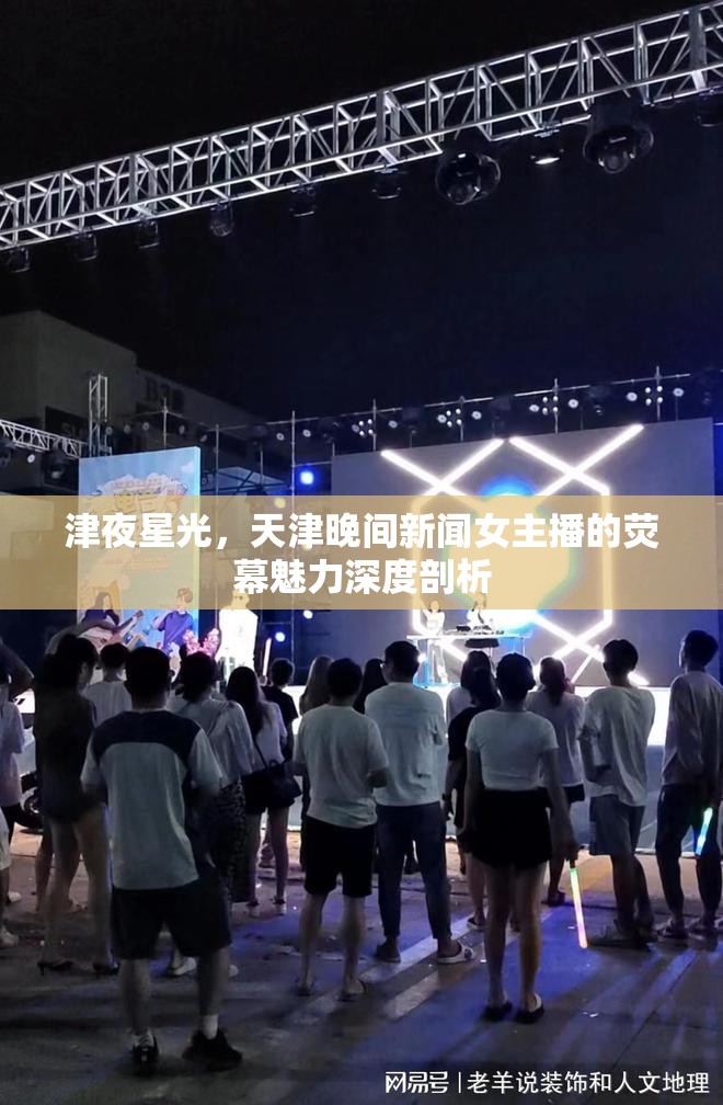 津夜星光，天津晚間新聞女主播的熒幕魅力深度剖析