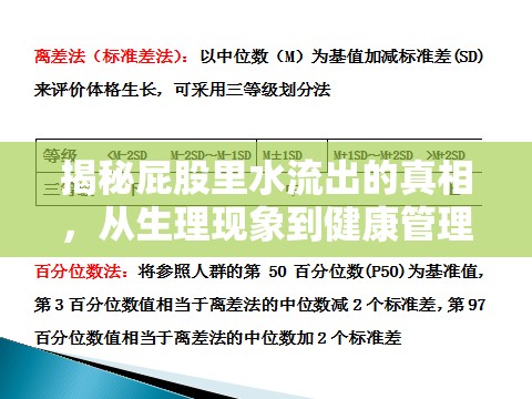 揭秘屁股里水流出的真相，從生理現(xiàn)象到健康管理的全面解析