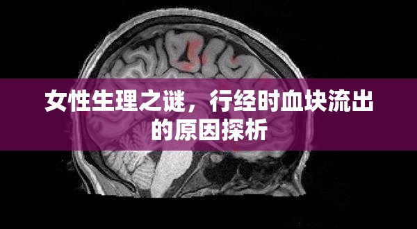 女性生理之謎，行經(jīng)時血塊流出的原因探析