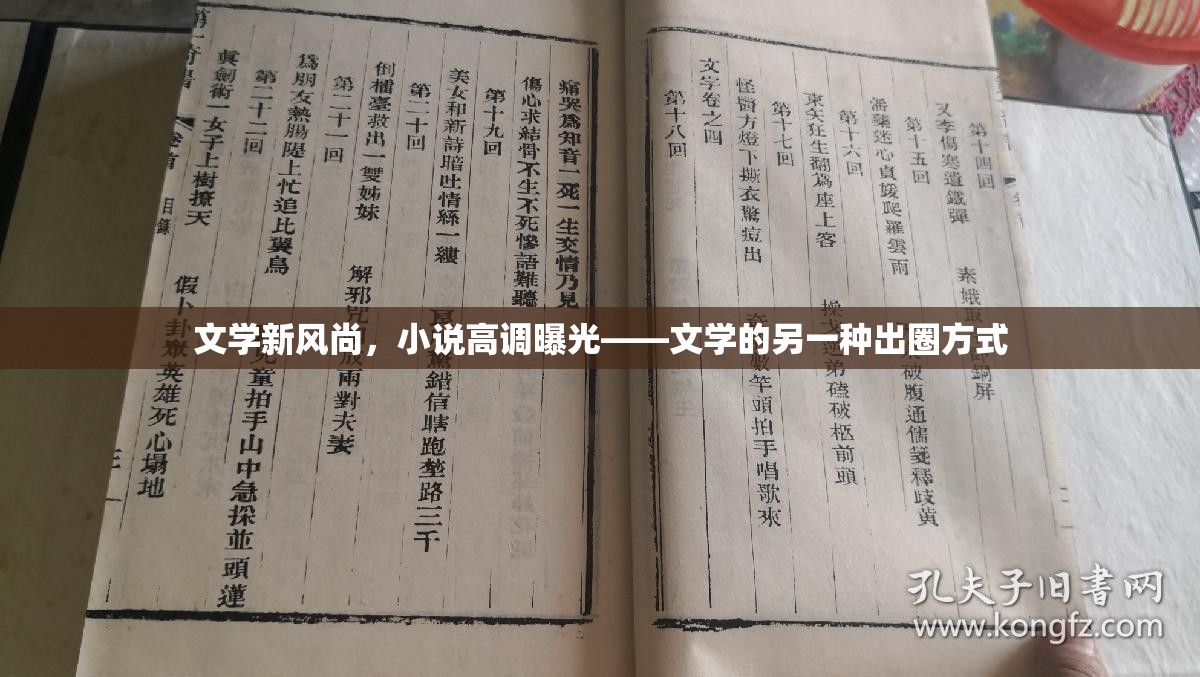 文學新風尚，小說高調曝光——文學的另一種出圈方式