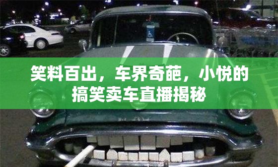 笑料百出，車界奇葩，小悅的搞笑賣車直播揭秘