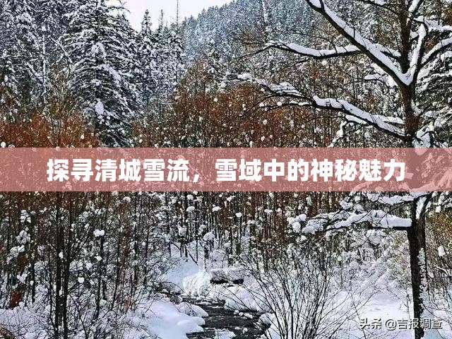 探尋清城雪流，雪域中的神秘魅力