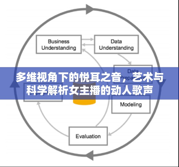 多維視角下的悅耳之音，藝術(shù)與科學解析女主播的動人歌聲