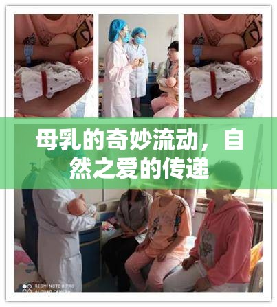 母乳的奇妙流動(dòng)，自然之愛的傳遞