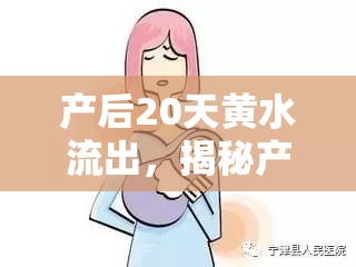 產(chǎn)后20天黃水流出，揭秘產(chǎn)后恢復(fù)的生理現(xiàn)象