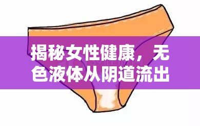 揭秘女性健康，無色液體從陰道流出的真相