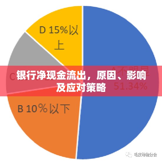 銀行凈現(xiàn)金流出，原因、影響及應(yīng)對策略