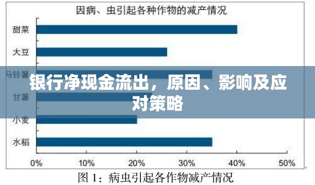 銀行凈現(xiàn)金流出，原因、影響及應(yīng)對策略