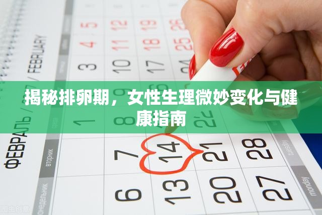 揭秘排卵期，女性生理微妙變化與健康指南