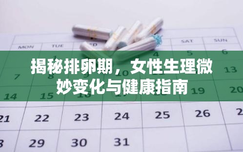 揭秘排卵期，女性生理微妙變化與健康指南