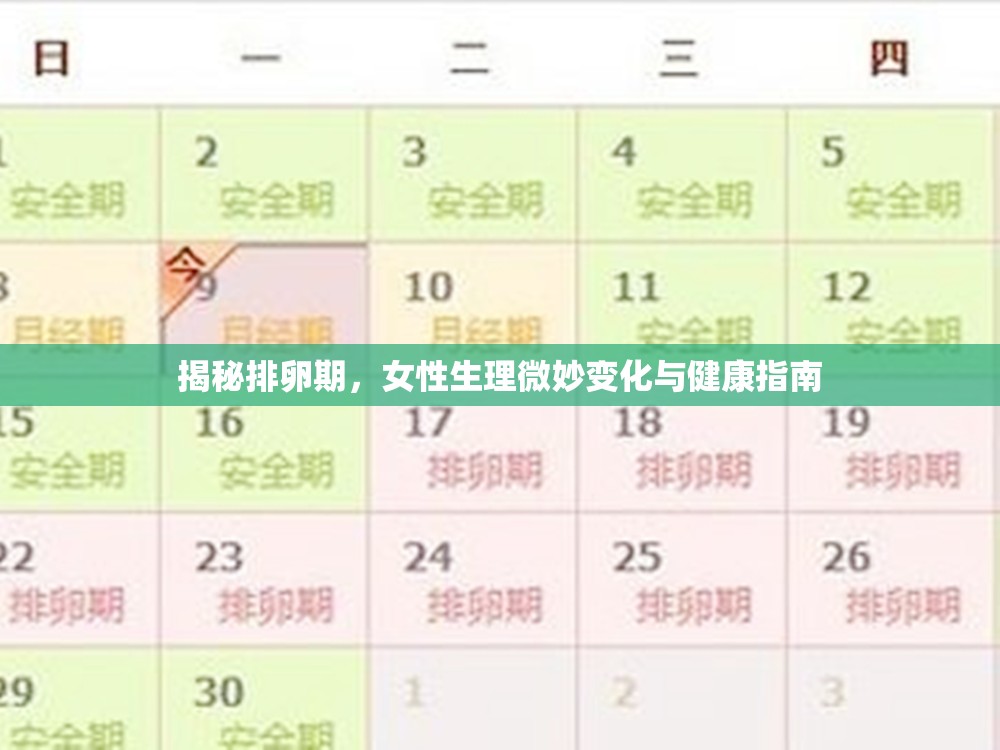 揭秘排卵期，女性生理微妙變化與健康指南