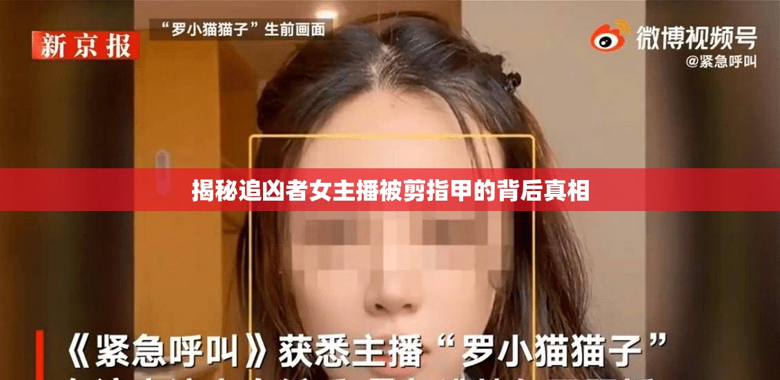 揭秘追兇者女主播被剪指甲的背后真相