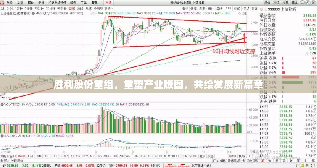 勝利股份重組，重塑產(chǎn)業(yè)版圖，共繪發(fā)展新篇章