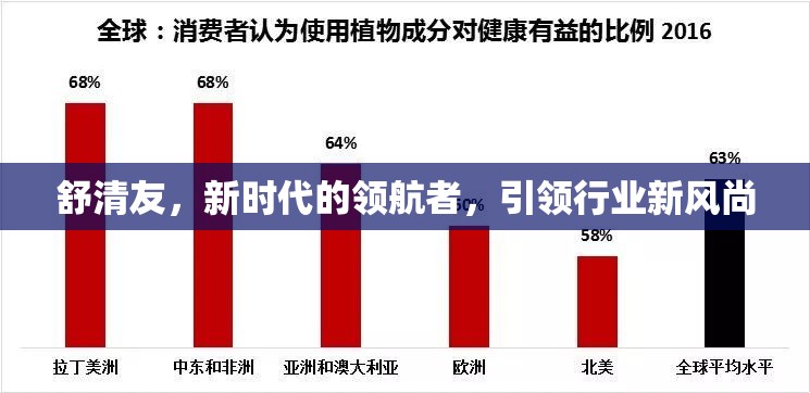 舒清友，新時(shí)代的領(lǐng)航者，引領(lǐng)行業(yè)新風(fēng)尚