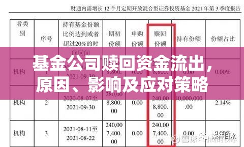 基金公司贖回資金流出，原因、影響及應(yīng)對策略