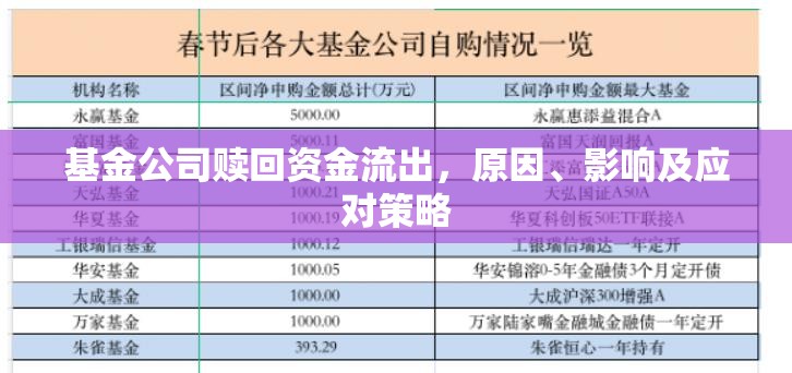 基金公司贖回資金流出，原因、影響及應(yīng)對策略