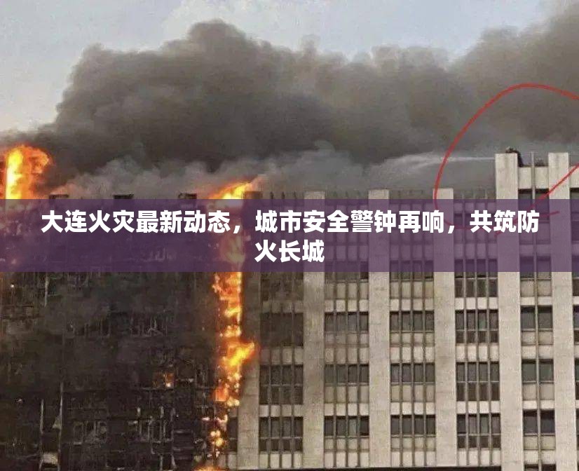 大連火災最新動態(tài)，城市安全警鐘再響，共筑防火長城