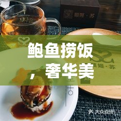 鮑魚(yú)撈飯，奢華美食背后的真相揭秘