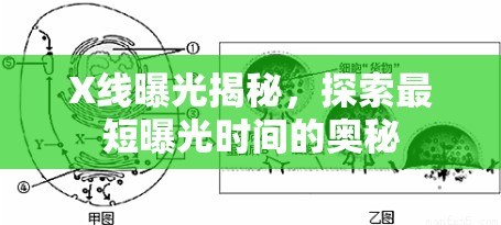 X線曝光揭秘，探索最短曝光時(shí)間的奧秘