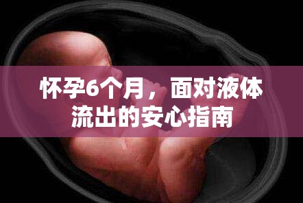 懷孕6個(gè)月，面對(duì)液體流出的安心指南