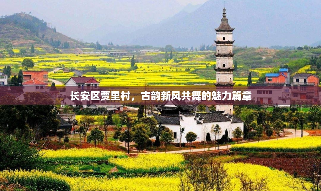 長(zhǎng)安區(qū)賈里村，古韻新風(fēng)共舞的魅力篇章