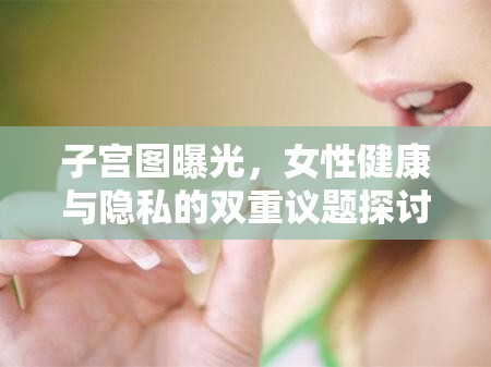 子宮圖曝光，女性健康與隱私的雙重議題探討