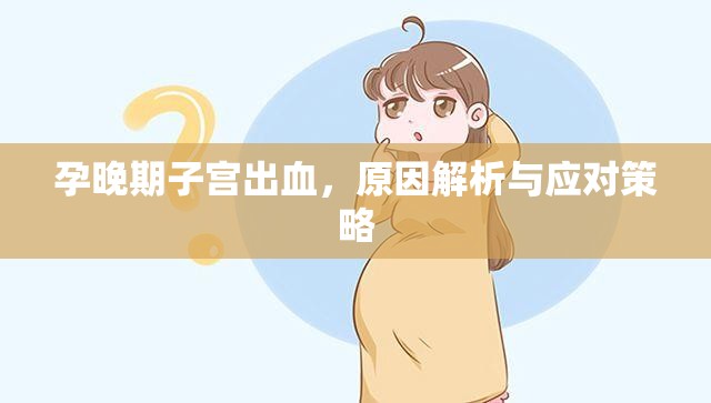 孕晚期子宮出血，原因解析與應(yīng)對策略