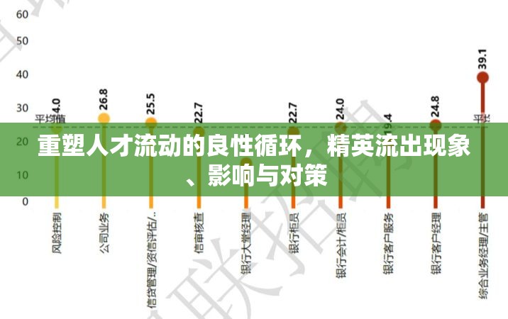 重塑人才流動的良性循環(huán)，精英流出現(xiàn)象、影響與對策