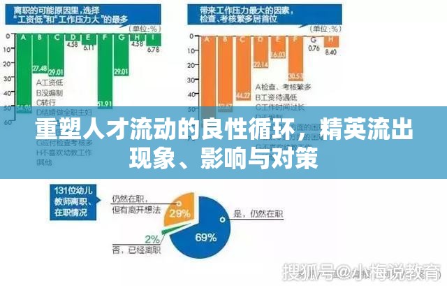 重塑人才流動的良性循環(huán)，精英流出現(xiàn)象、影響與對策