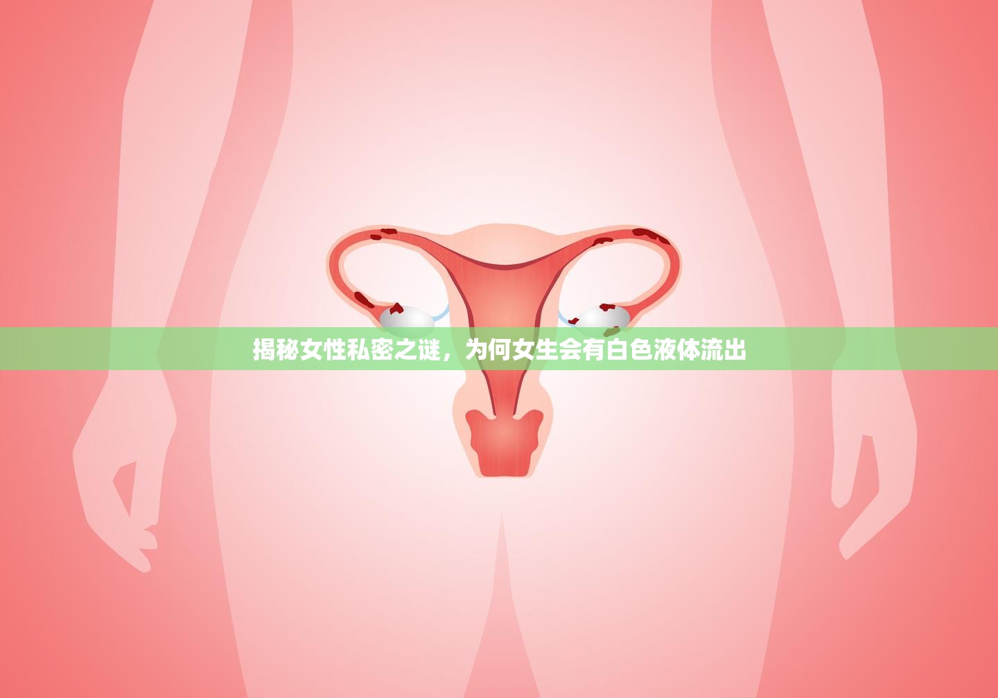 揭秘女性私密之謎，為何女生會有白色液體流出