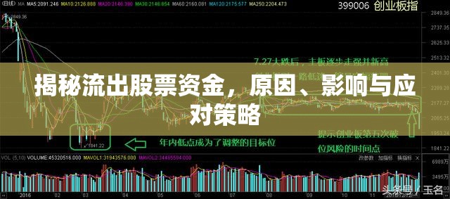 揭秘流出股票資金，原因、影響與應(yīng)對策略