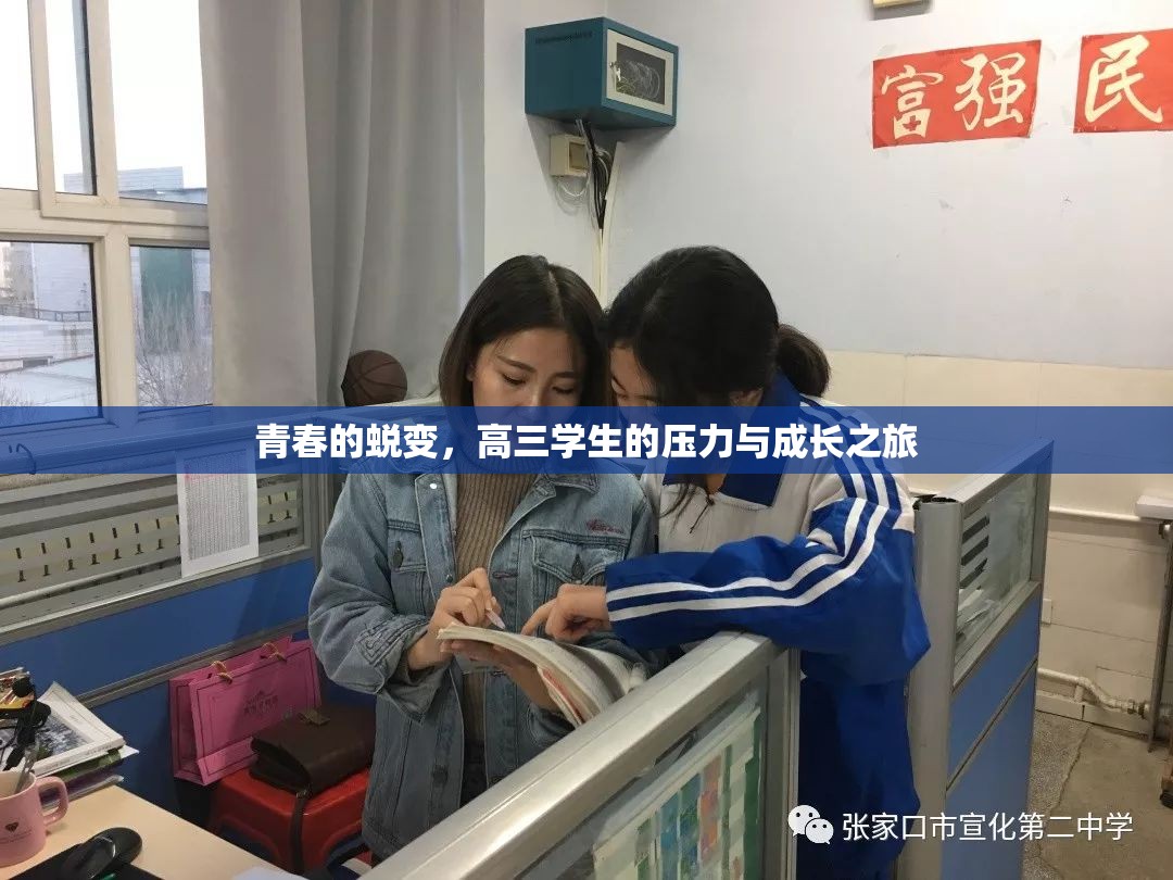 青春的蛻變，高三學生的壓力與成長之旅