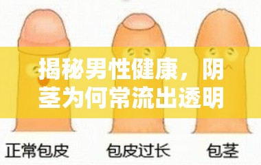 揭秘男性健康，陰莖為何常流出透明粘液？