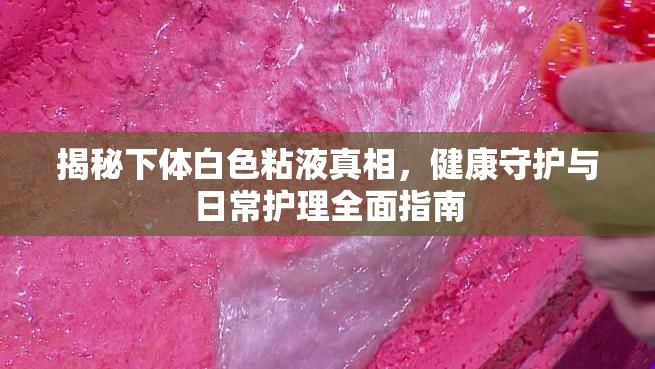 揭秘下體白色粘液真相，健康守護與日常護理全面指南