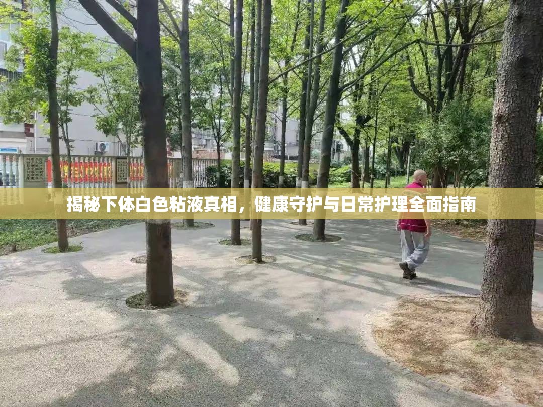 揭秘下體白色粘液真相，健康守護與日常護理全面指南