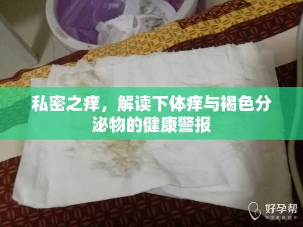 私密之癢，解讀下體癢與褐色分泌物的健康警報(bào)