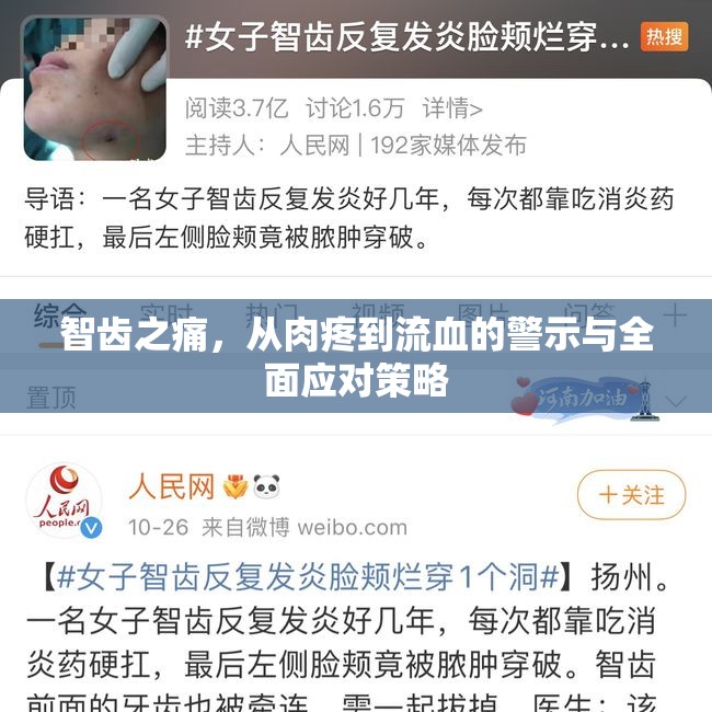 智齒之痛，從肉疼到流血的警示與全面應對策略