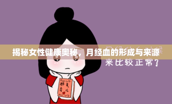 揭秘女性健康奧秘，月經(jīng)血的形成與來源