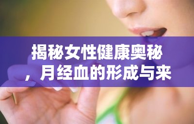 揭秘女性健康奧秘，月經(jīng)血的形成與來(lái)源