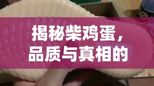 揭秘柴雞蛋，品質(zhì)與真相的深度較量