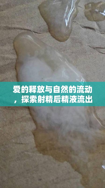 愛(ài)的釋放與自然的流動(dòng)，探索射精后精液流出的奧秘