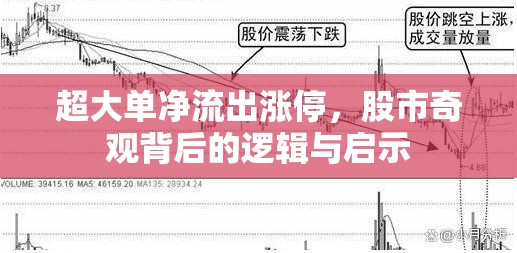 超大單凈流出漲停，股市奇觀背后的邏輯與啟示